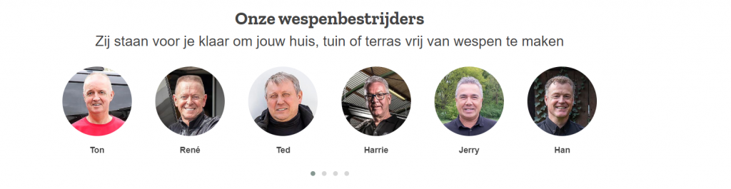 Infographic over wespen en steken met informatie over symptomen en eerste hulp bij wespenssteken