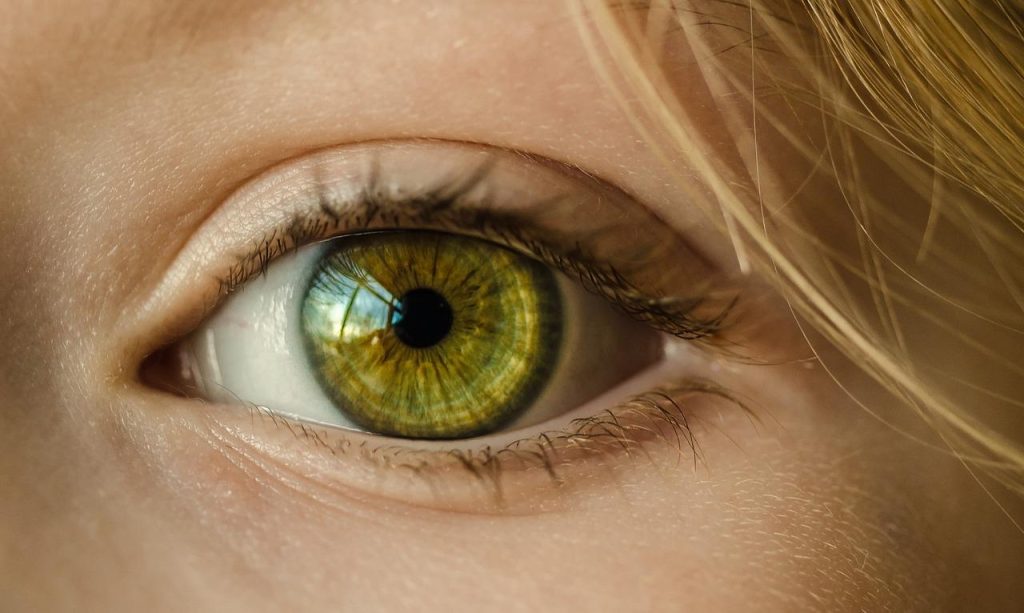 Visuele weergave van de kleur groen met symbolen voor natuur, groei, duurzaamheid en betekenissen