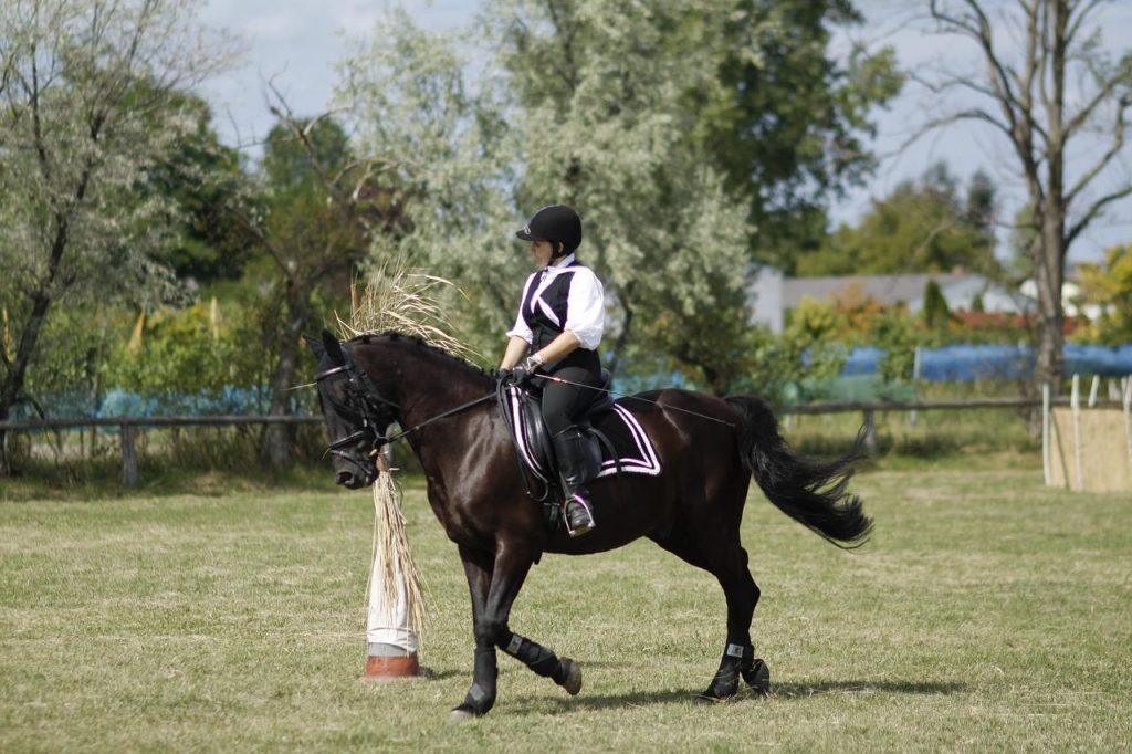 Ruiter op paard rijdend door het prachtige Limburgse landschap met paardrijroutes in Sittard